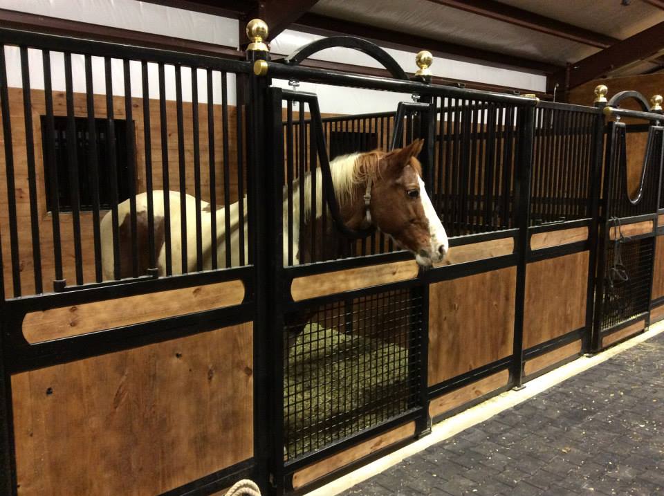 Cleaning Your Horse Stall