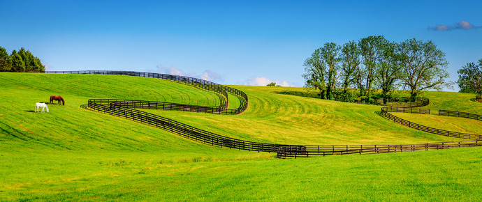 horse fencing