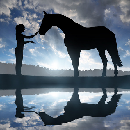 leasing a horse farm