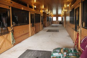 horse barn stables