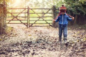 rainproof your horse stables