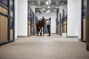 female-horseman