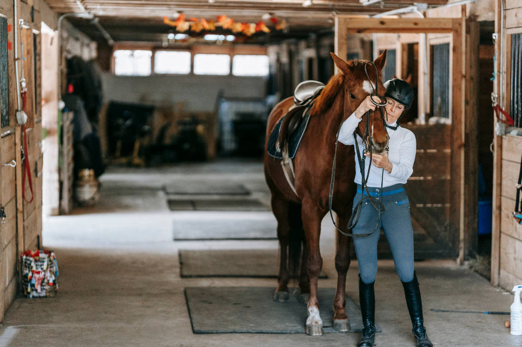Tips for helping you choose the right rubber stall mats. 