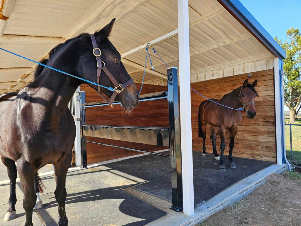 Grooming Station for Horses
