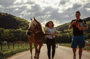 Healthy horse and owner walking on a trail.