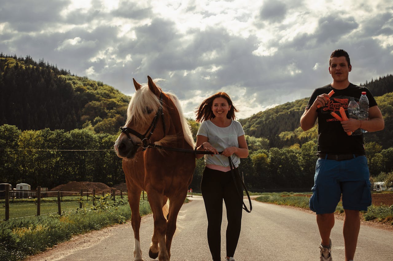 Healthy horse and owner walking on a trail.